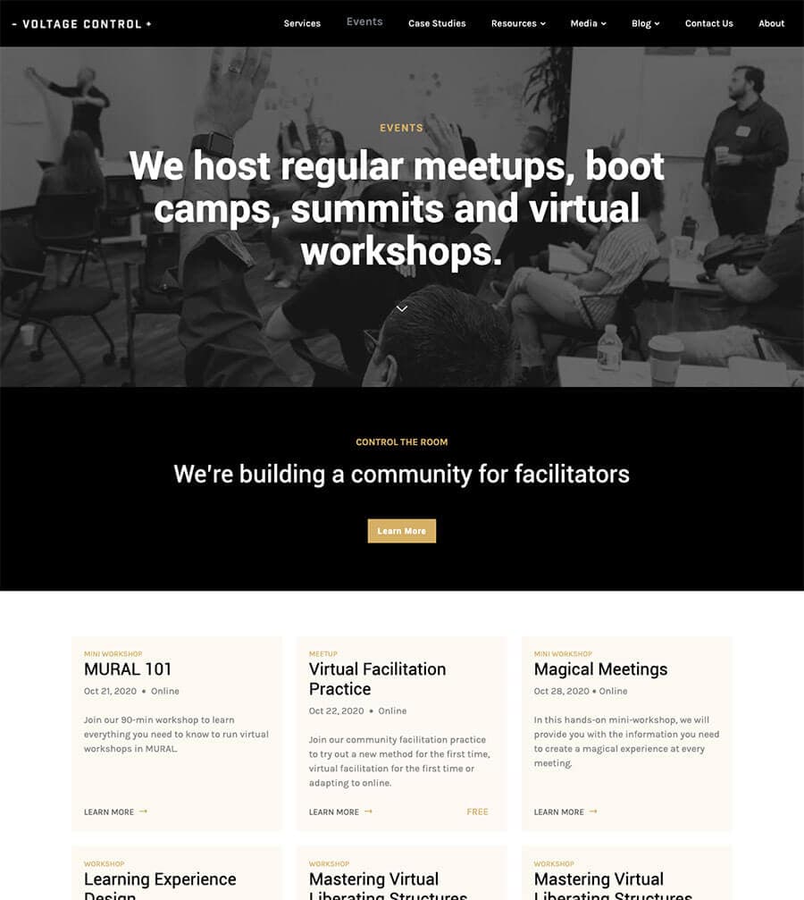Voltage Control site screenshot