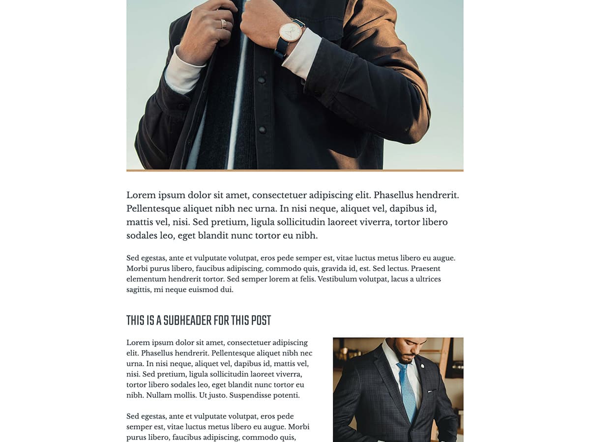 Makeswift Dapper template blog post